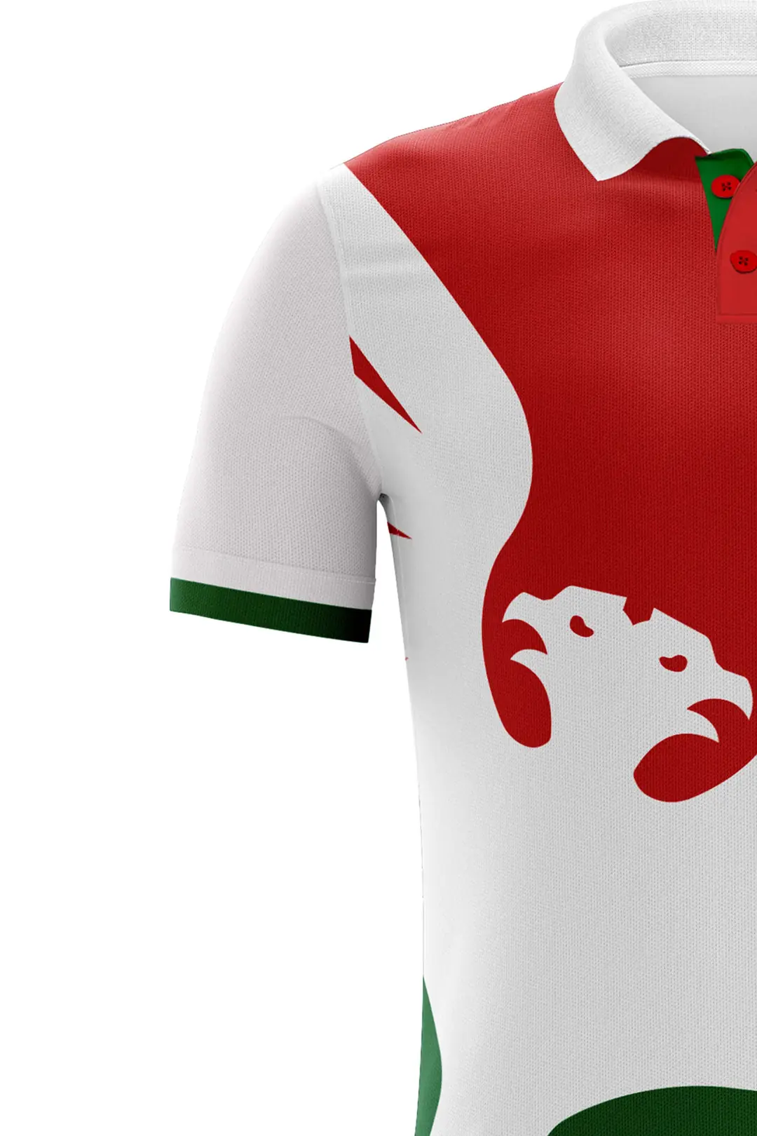 POLO YAKA MİCRO T-SHIRT