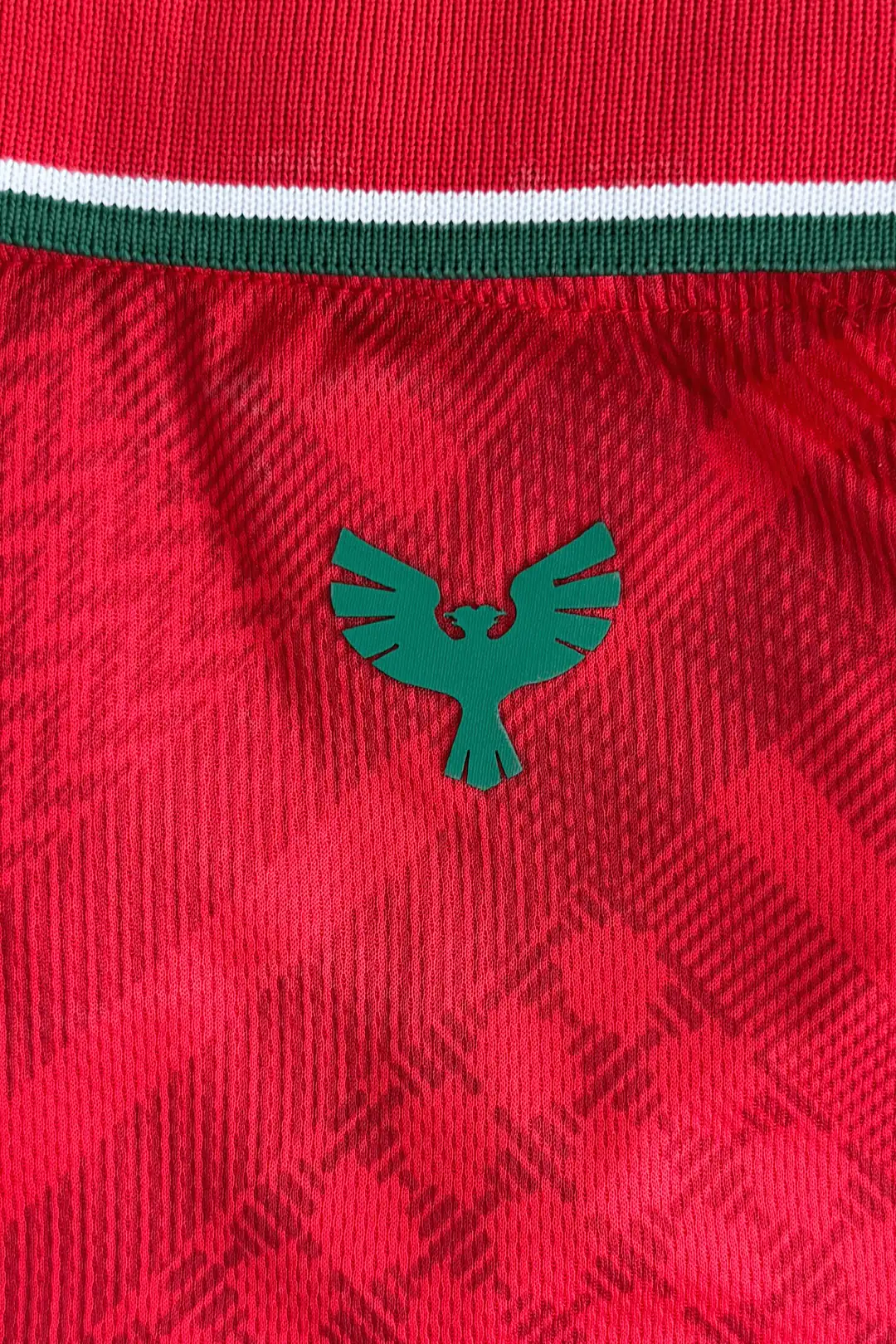 2026/27 AMEDSPOR PUŞİ DESENLİ POLO YAKA FORMA