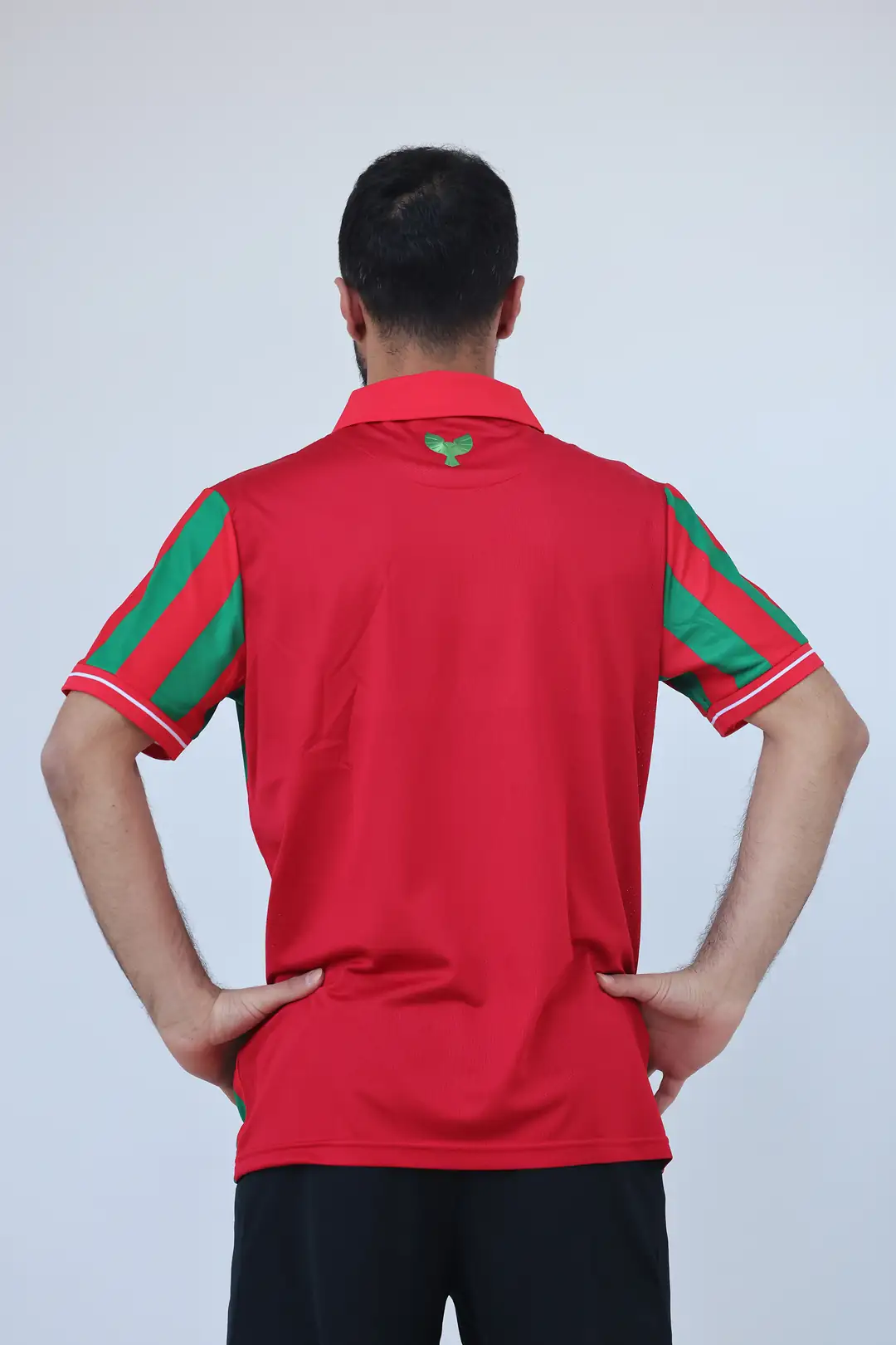 YETİŞKİN FORMA ÇUBUKLU POLO YAKA